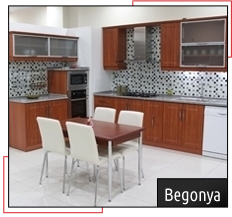 begonya